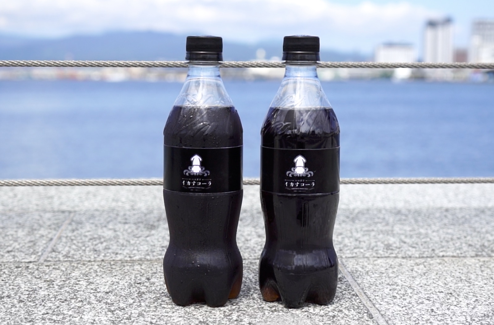 函館の海を背景に、岸壁へ並べて置かれた黒いラベルの「イカすコーラ」のペットボトル2本